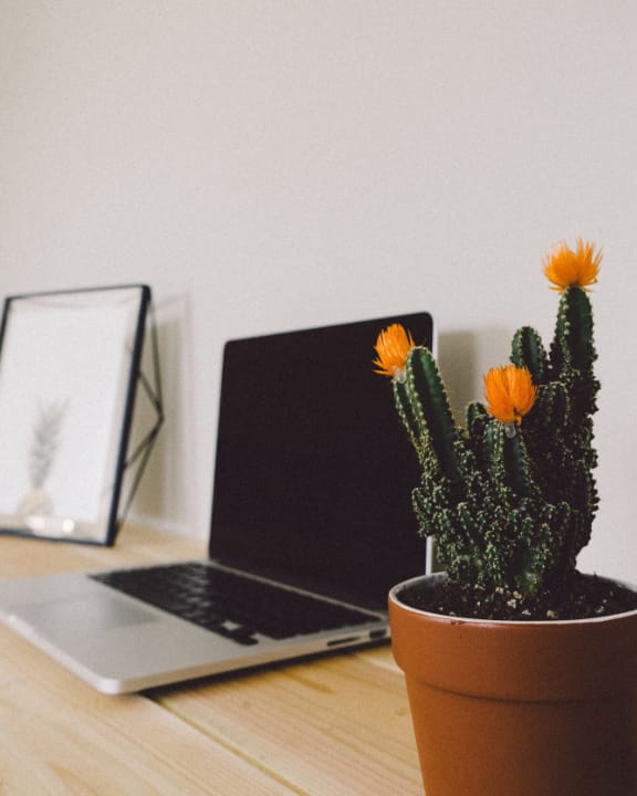 Small business workspace representing a quick-launch website project